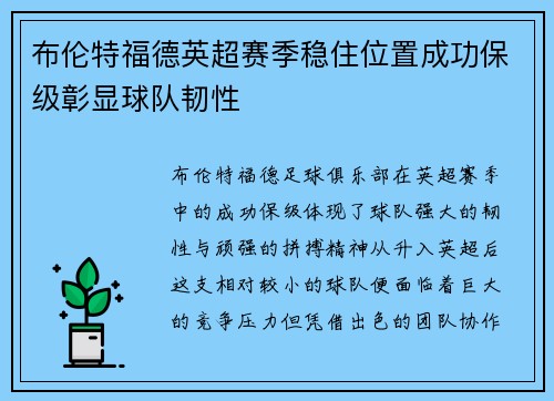 布伦特福德英超赛季稳住位置成功保级彰显球队韧性